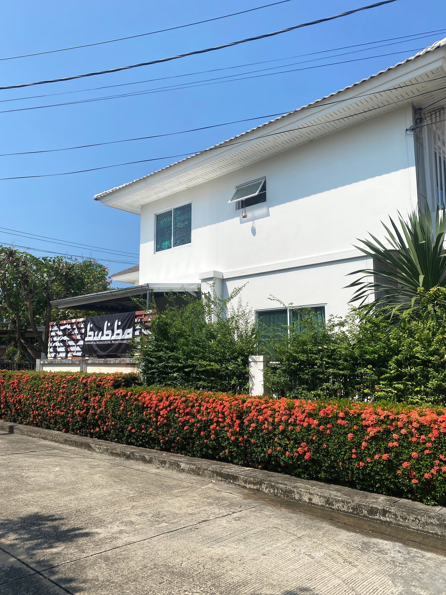 Bubba Cannabis Homegrow Nonthaburi
