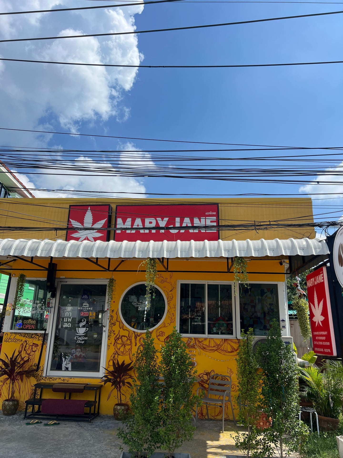 Cannabis For Life Aonang