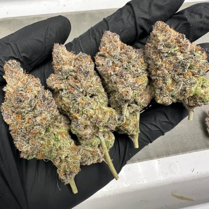Kush Queen Og-indoor Air