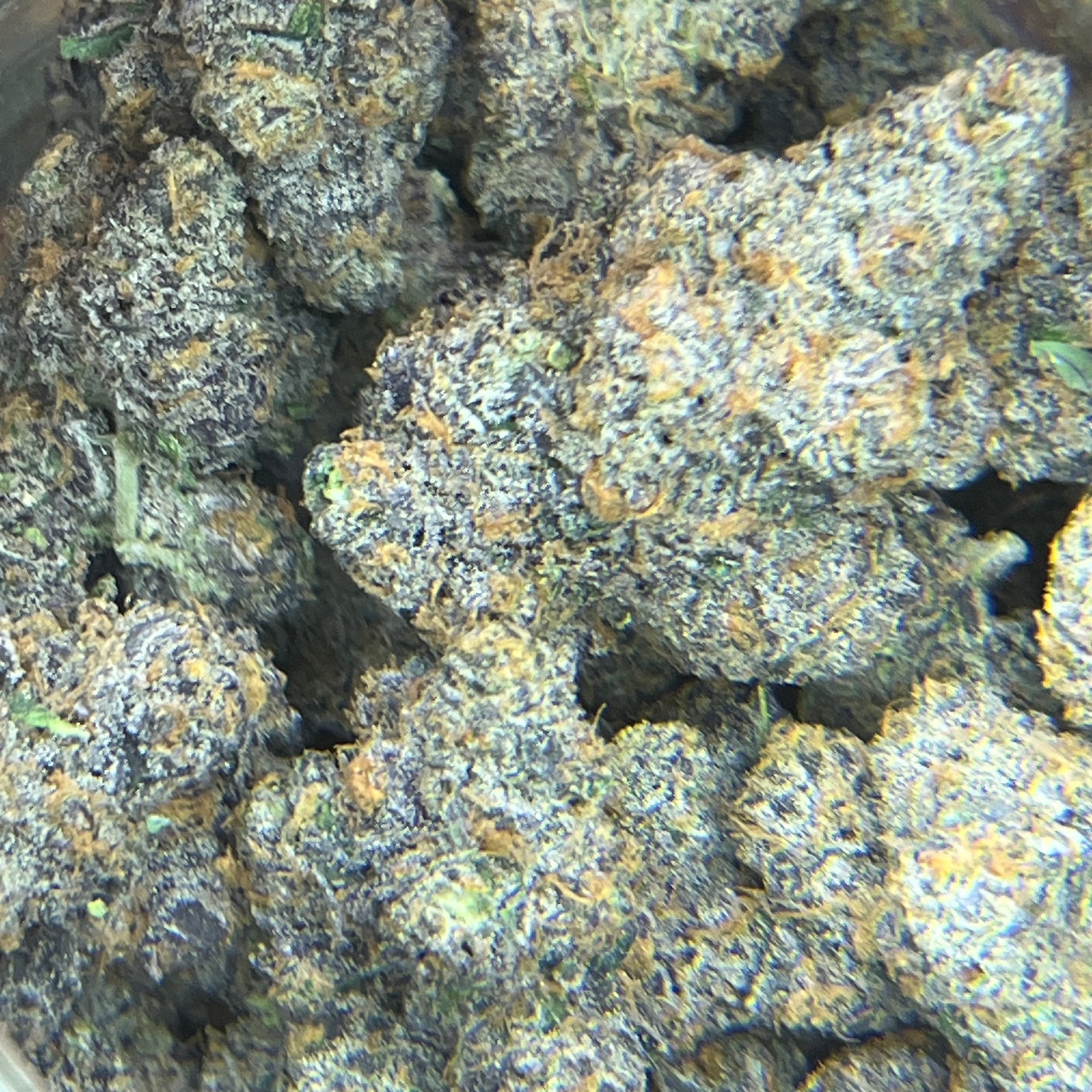 Gypsy Garden 420 Bangsaen