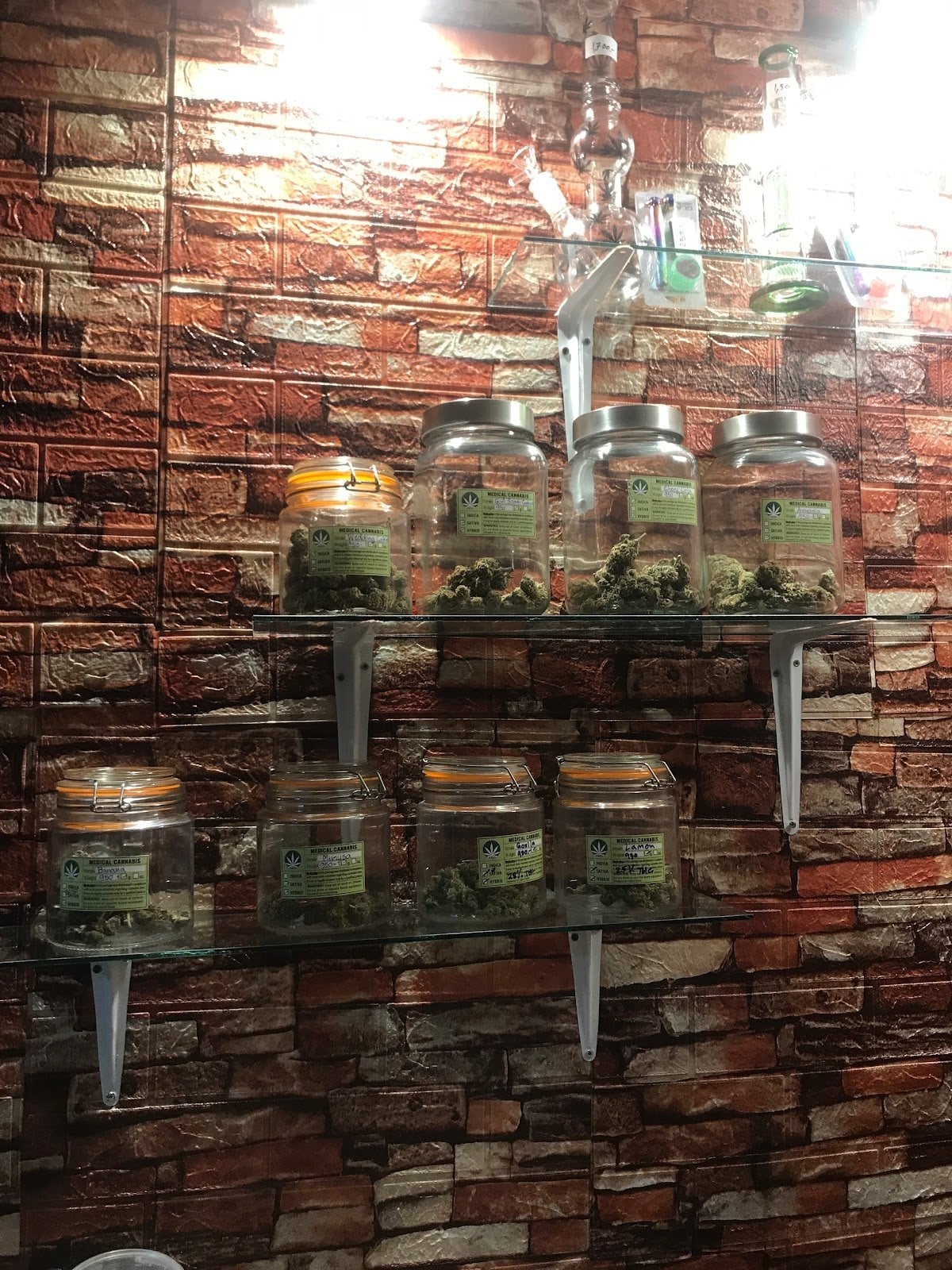 Cannabis