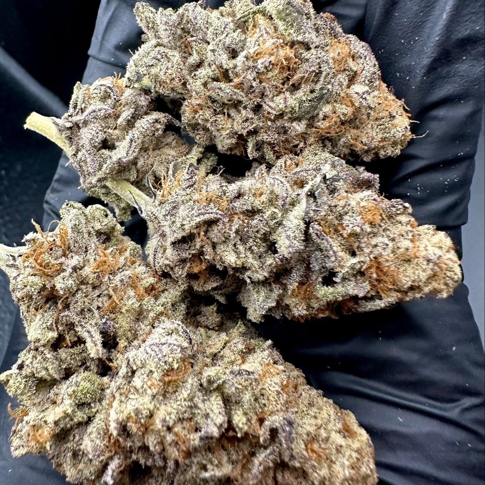 Cannabee