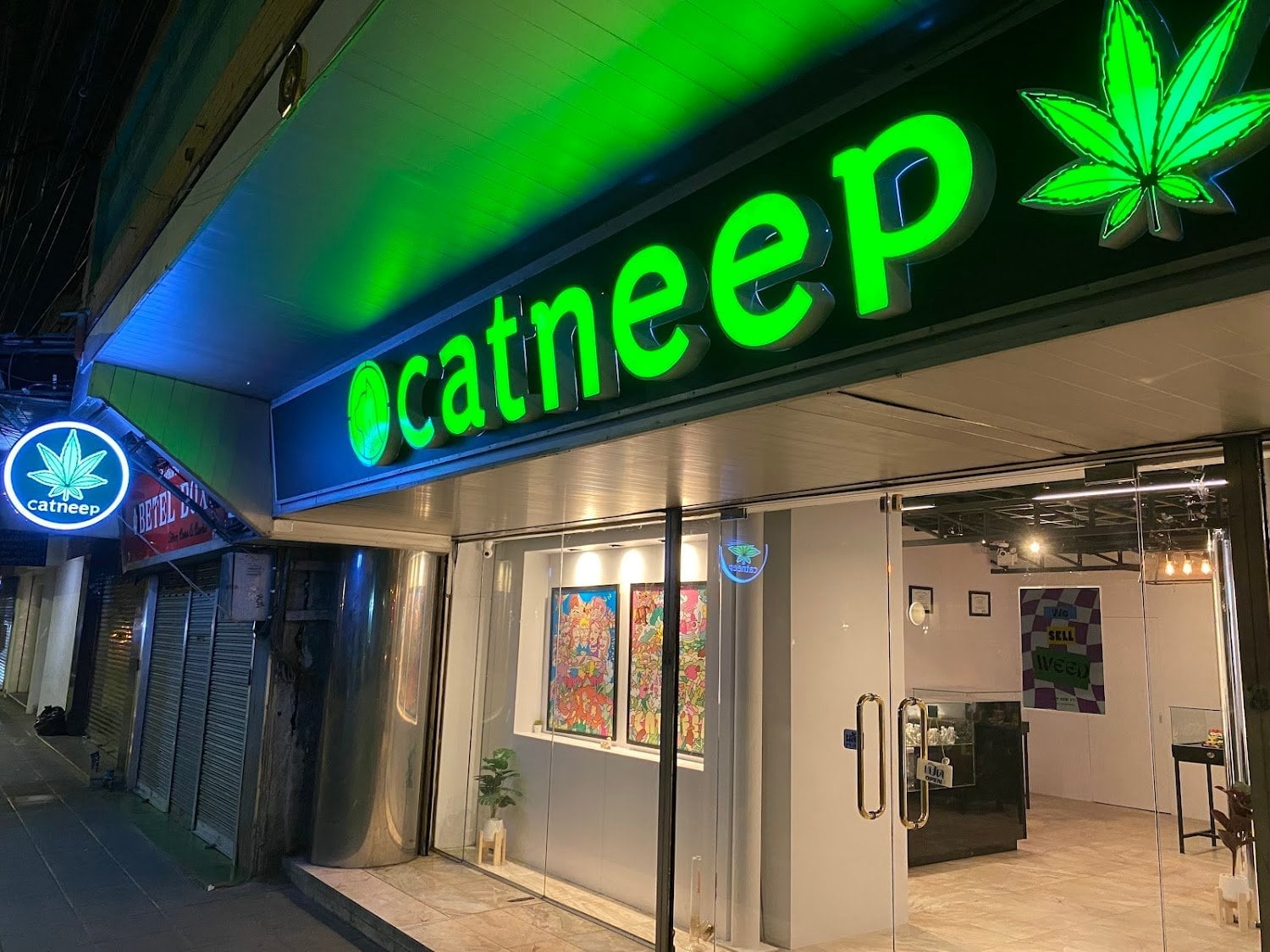 Catneep