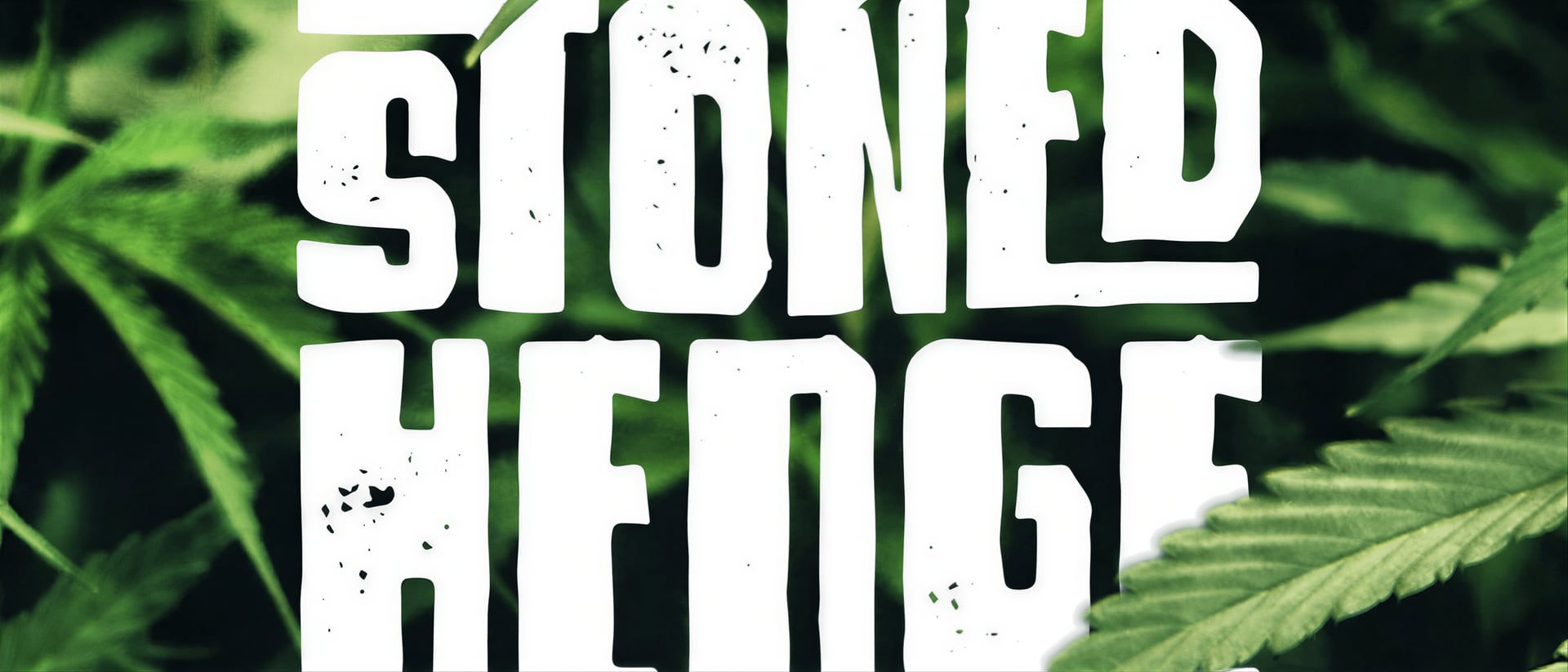 Stonedhenge hero