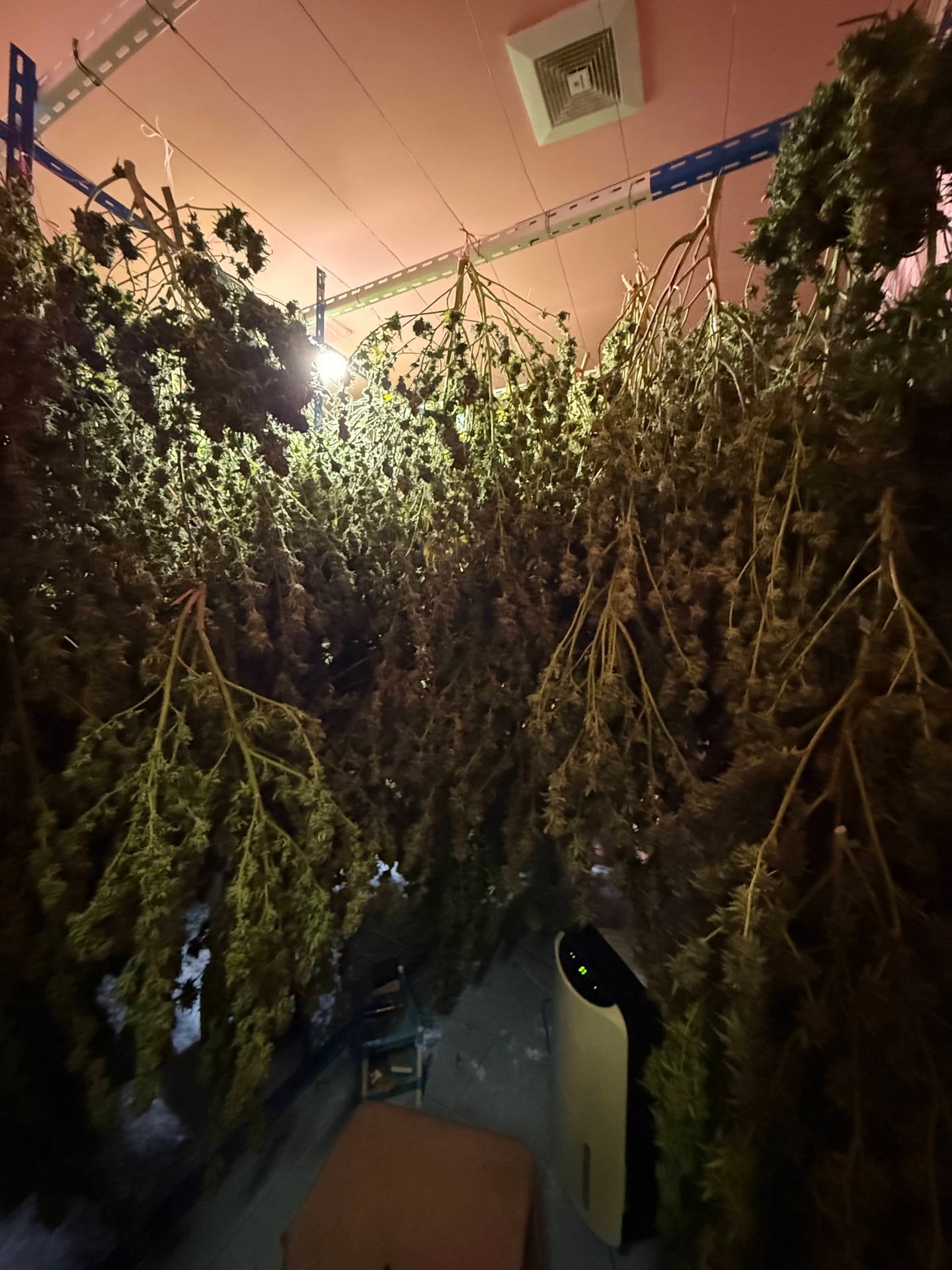 M & O Organic
