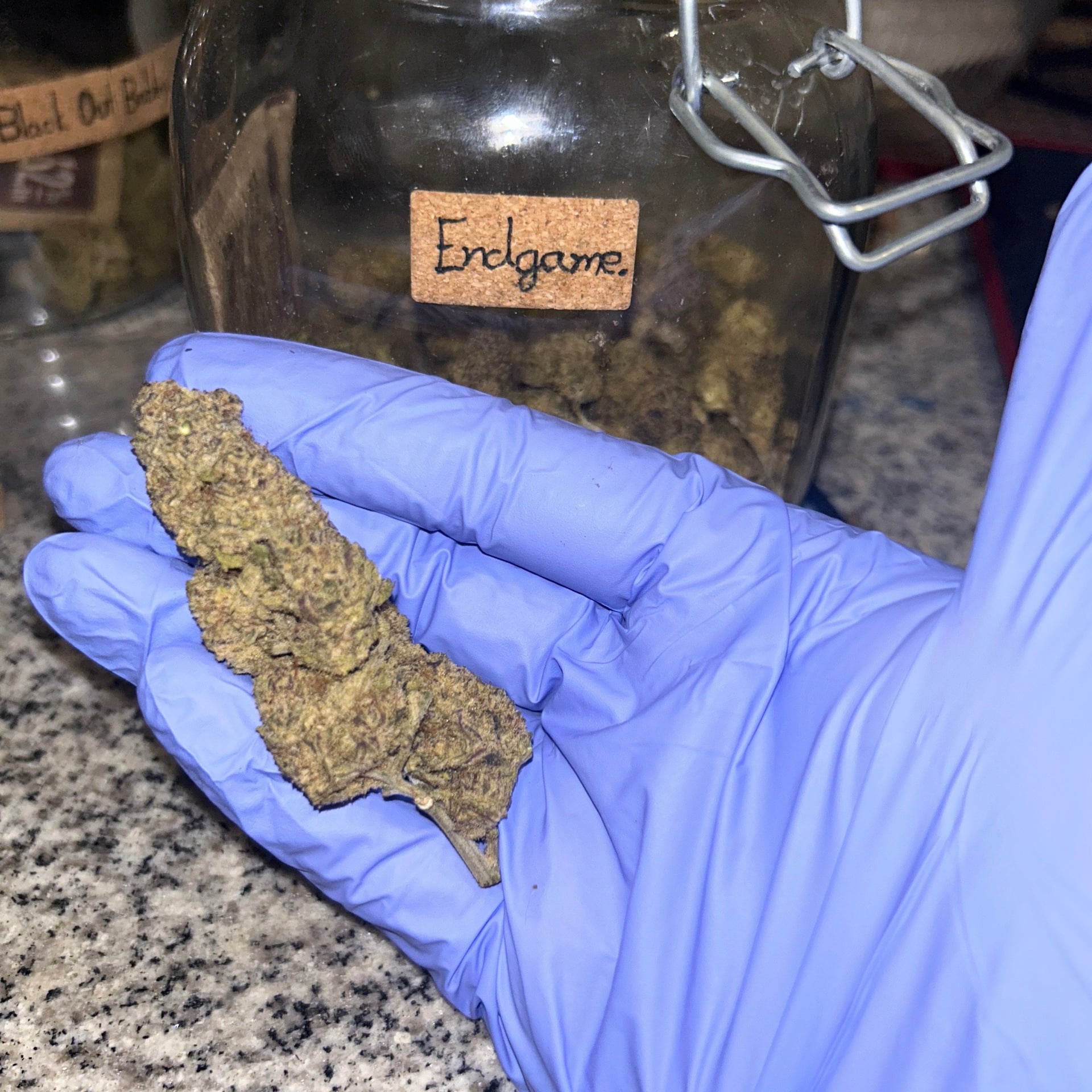 TFT Cannabis Farm