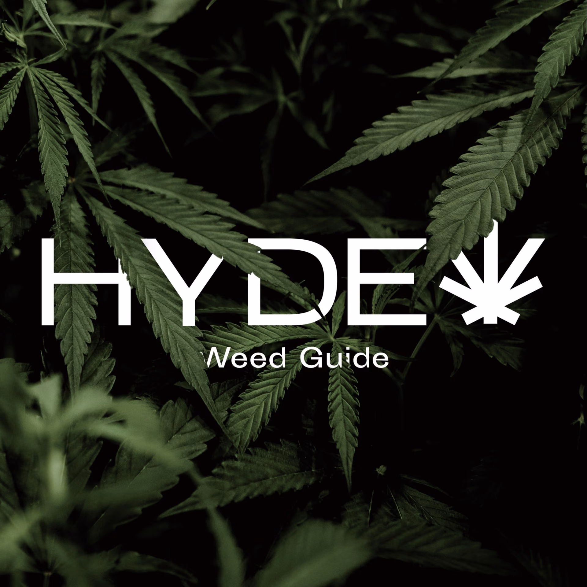 Cannabis Social Club Hyde logó