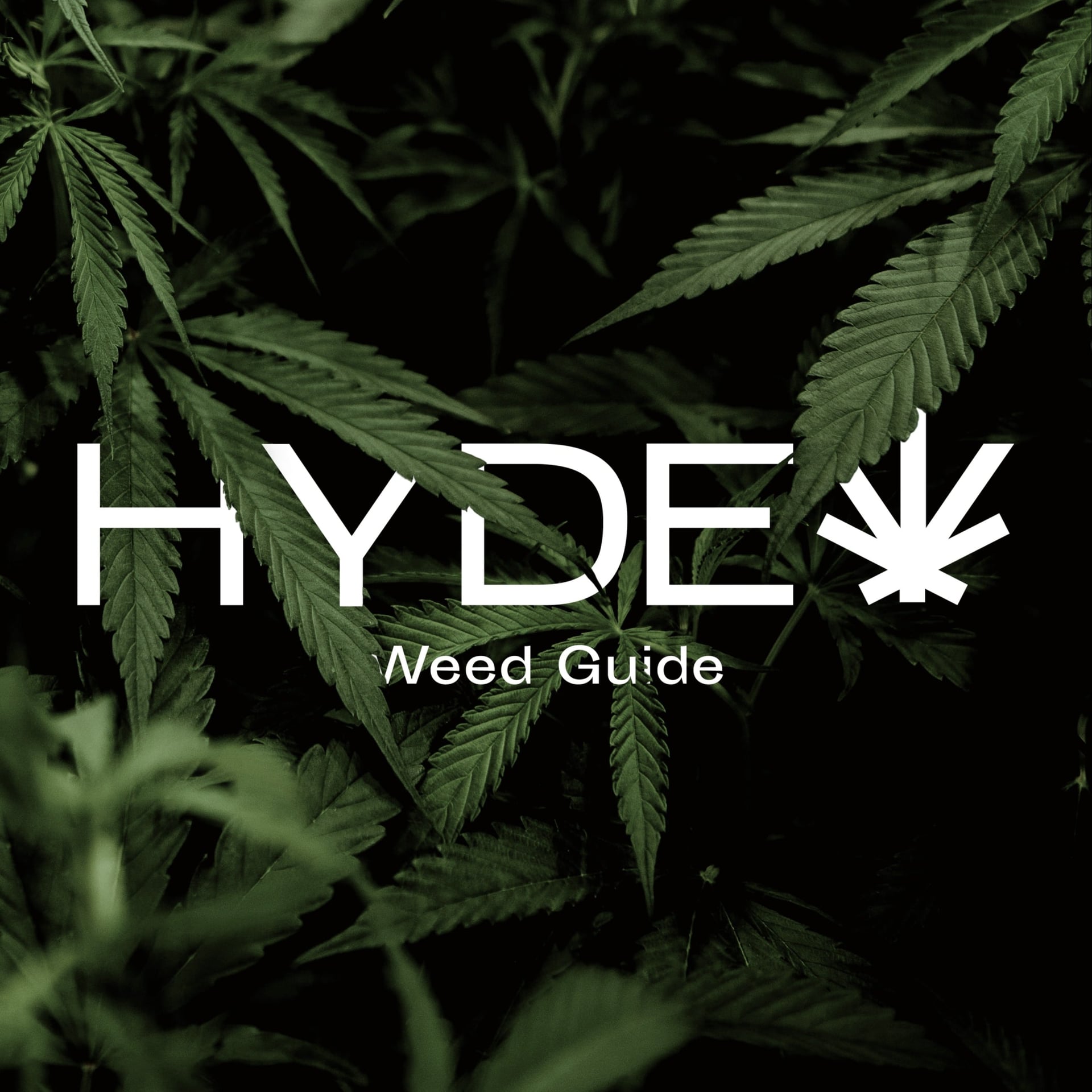 Hyde logo