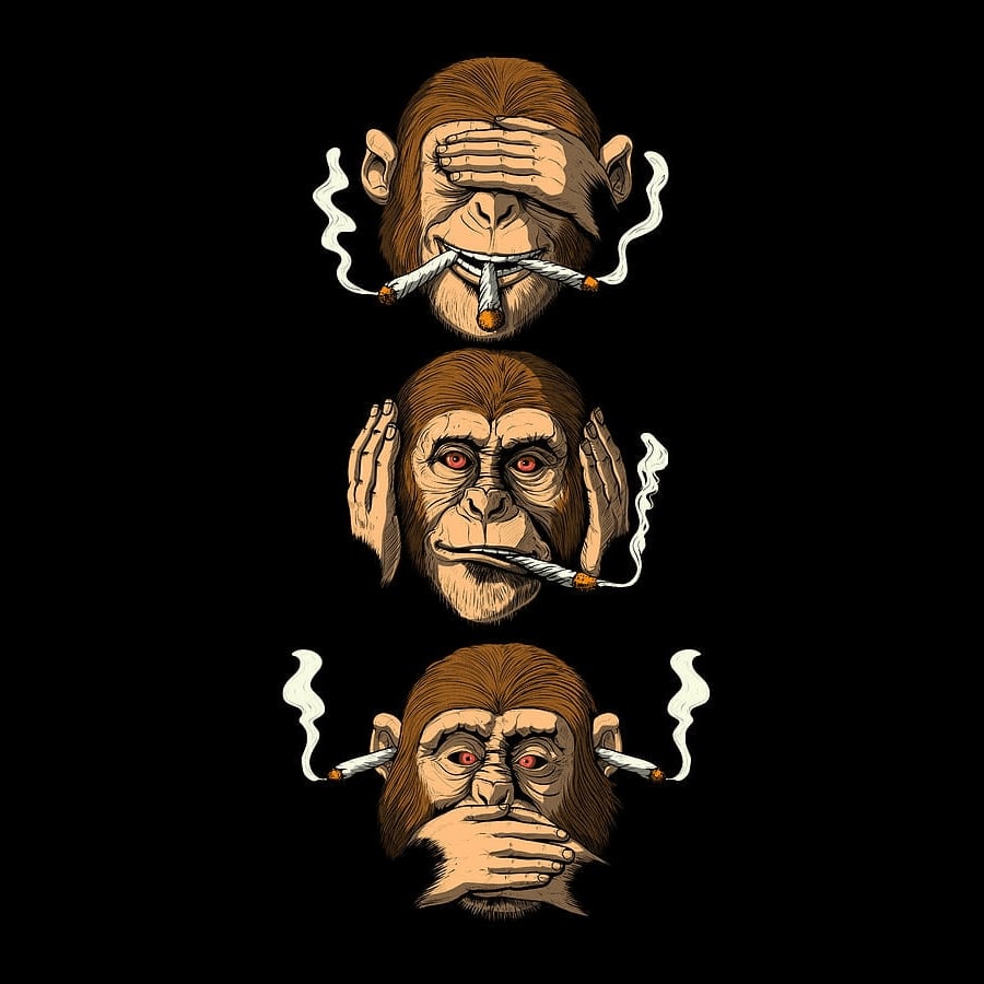 Cheeky Monkeys logo