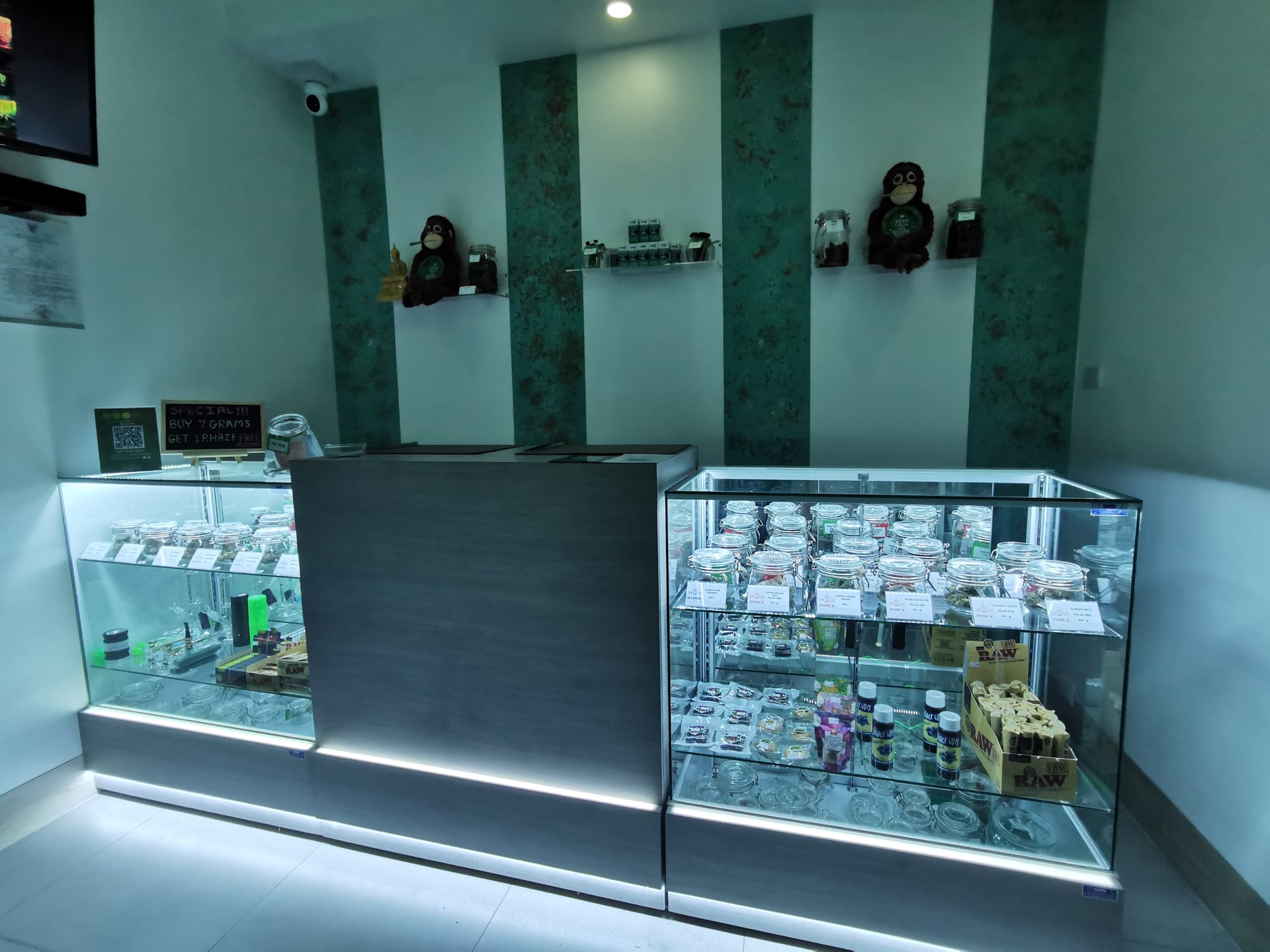 Bodega
