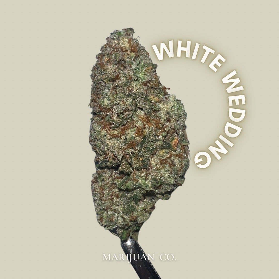 Marijuan.Co Phuket