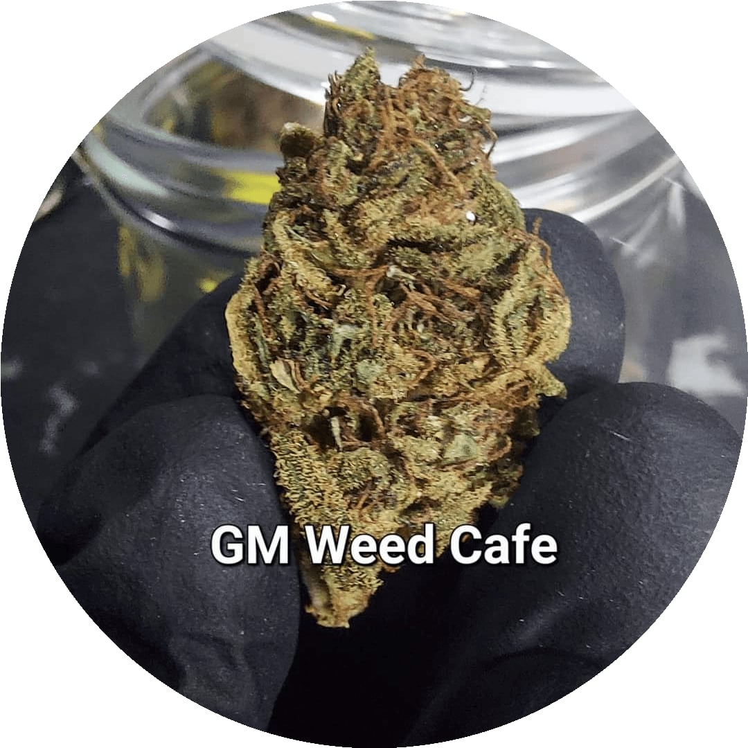 GM.Weed Cafe