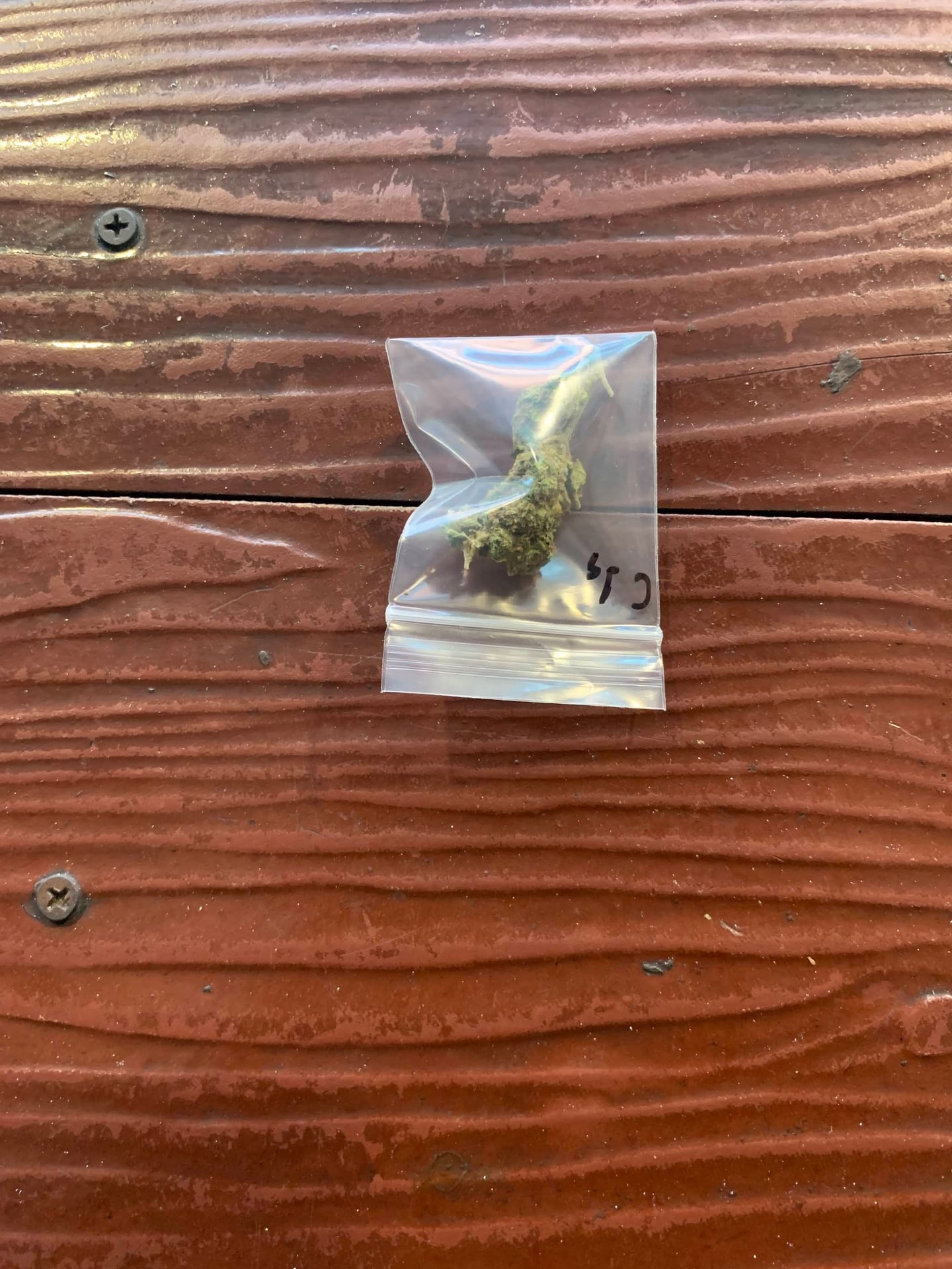 Mexico Cannabis