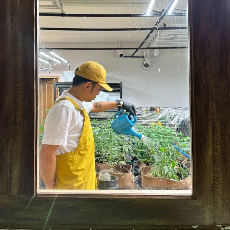 Hi Grower