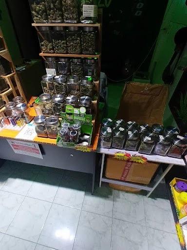 M L Cannabis Bos Home 5