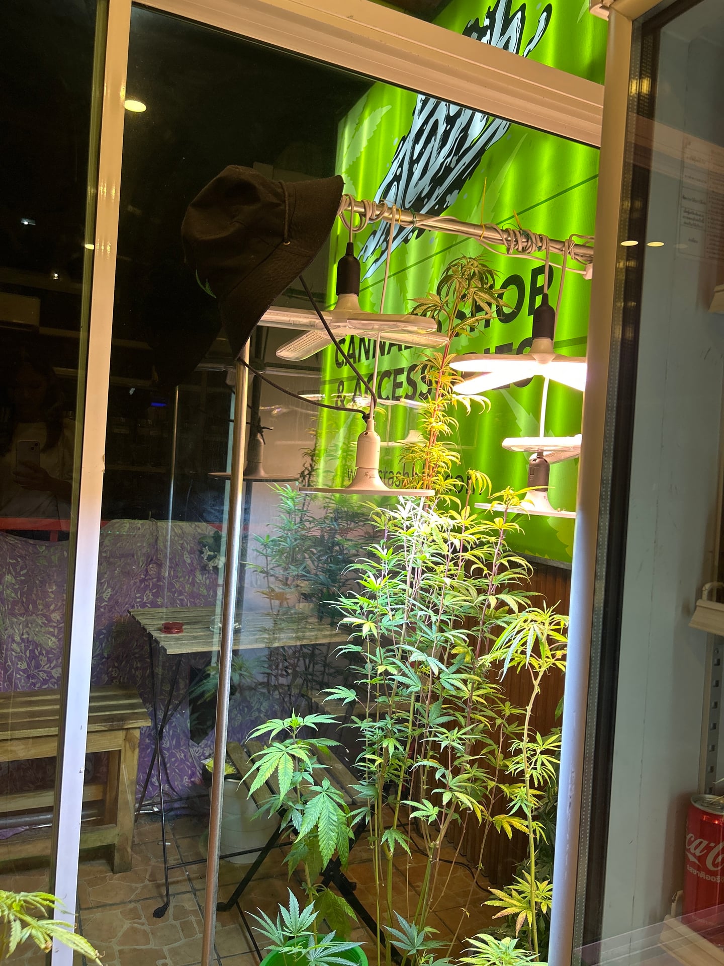 ZaZa Asia Cannabis Dispensary And