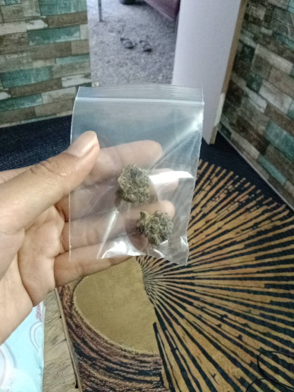 Lung Fang Canabis