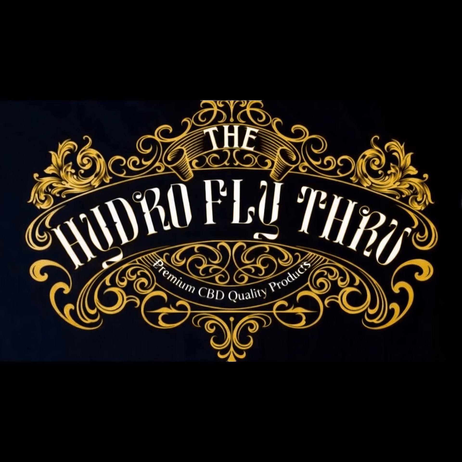 Hydro Fly Thu