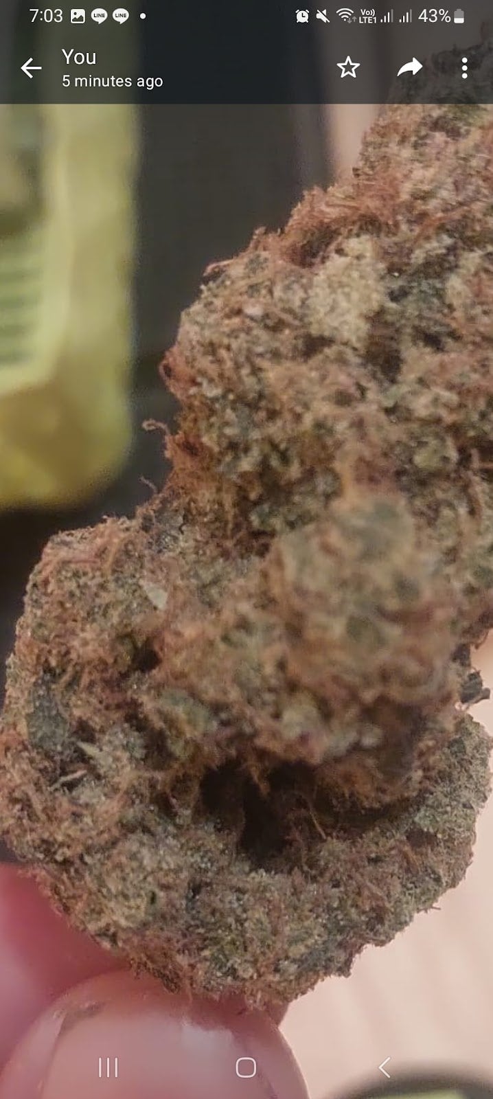 Happy Cannabis Delivery - Weed Coffeeshop