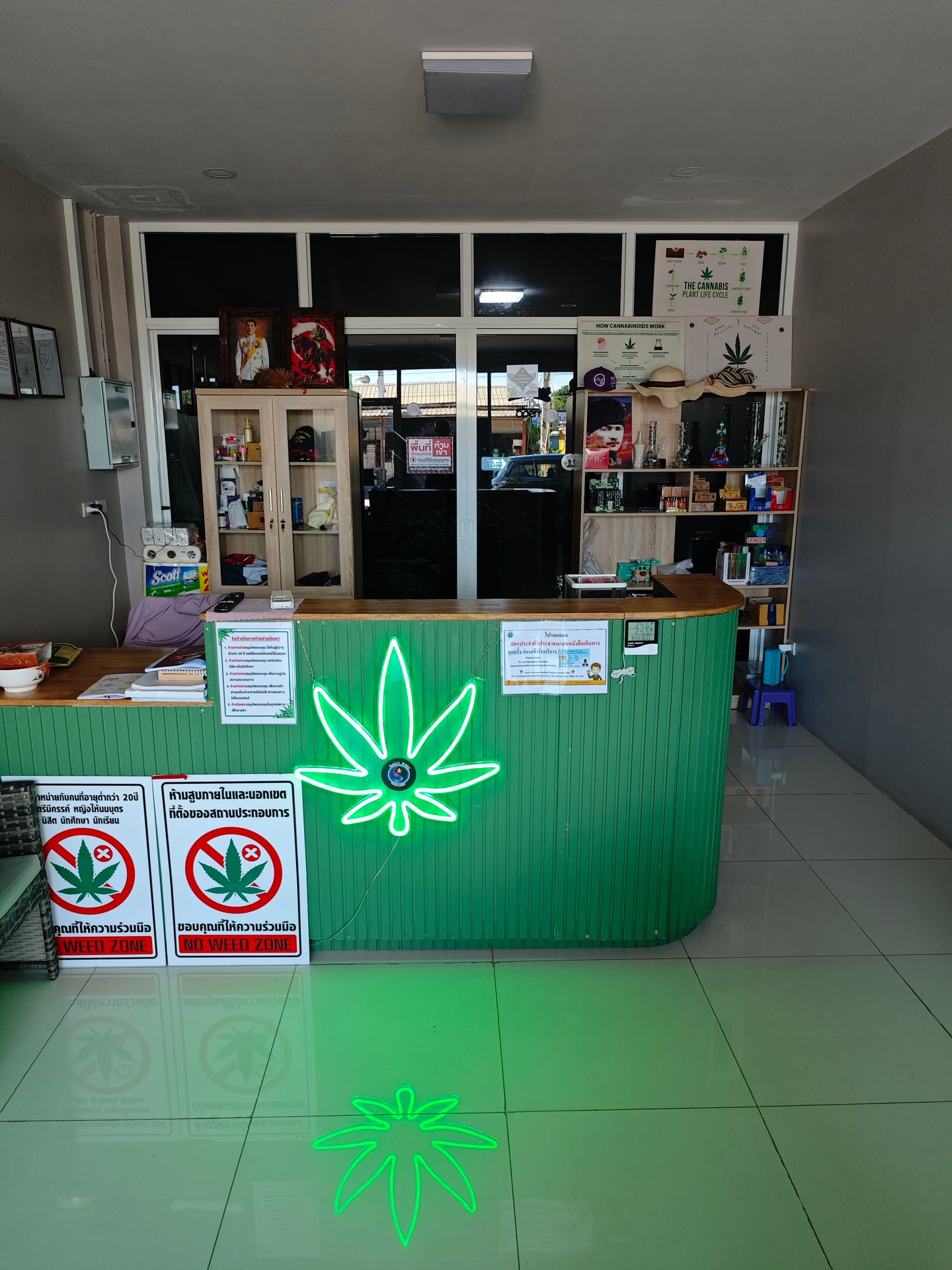 Magic Weed