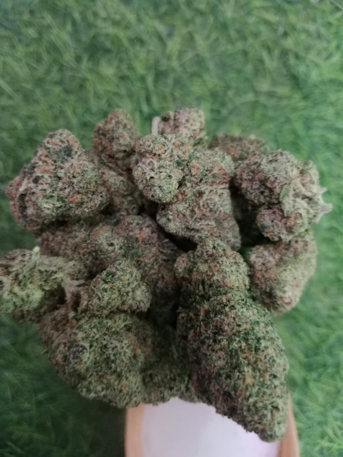 Tiger Black Weed