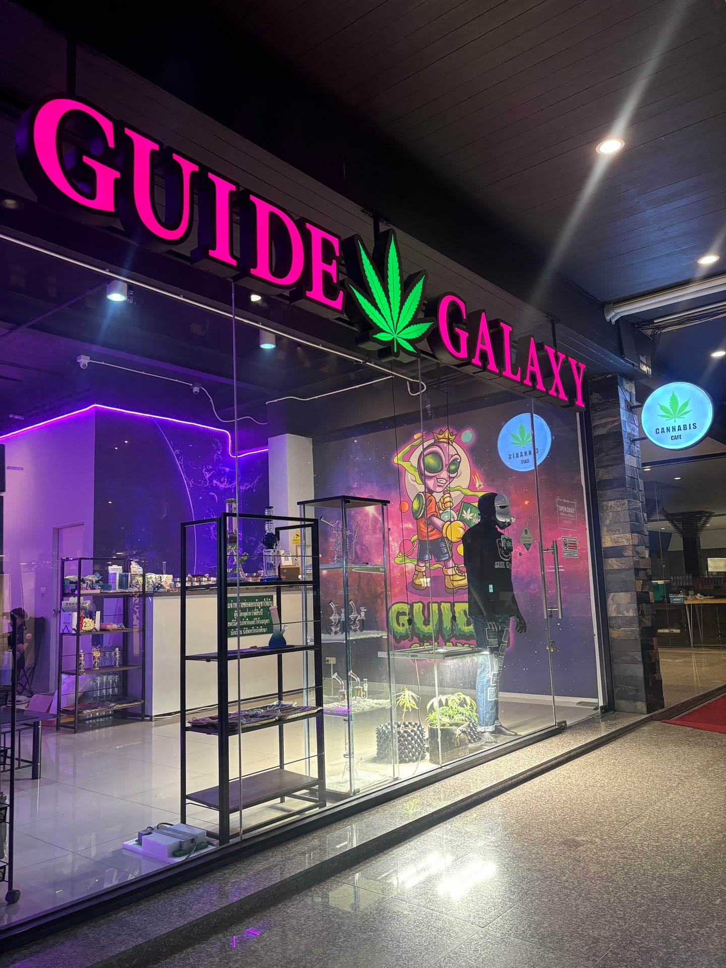 Paradis Buds