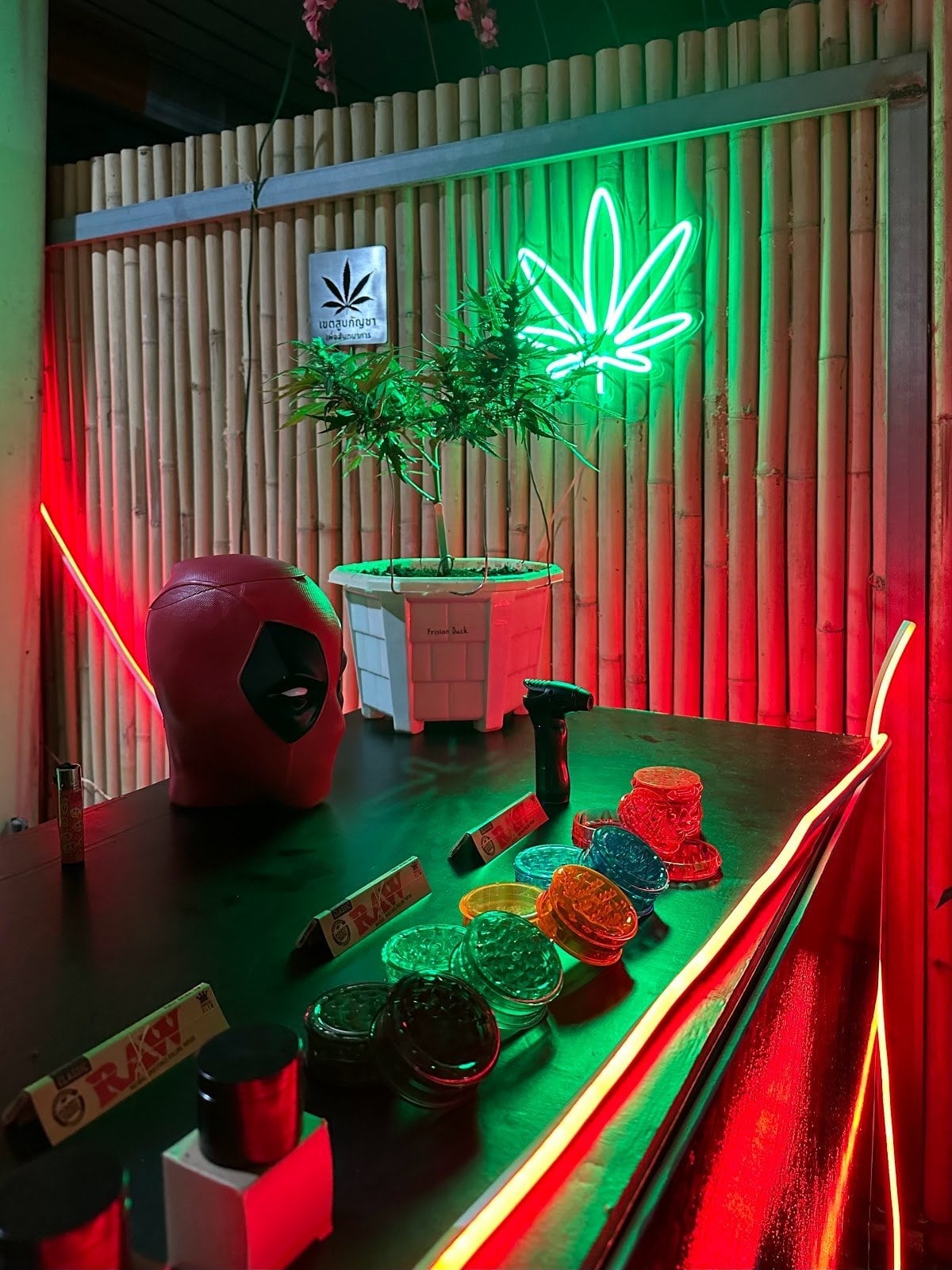 Weed Shop Boys