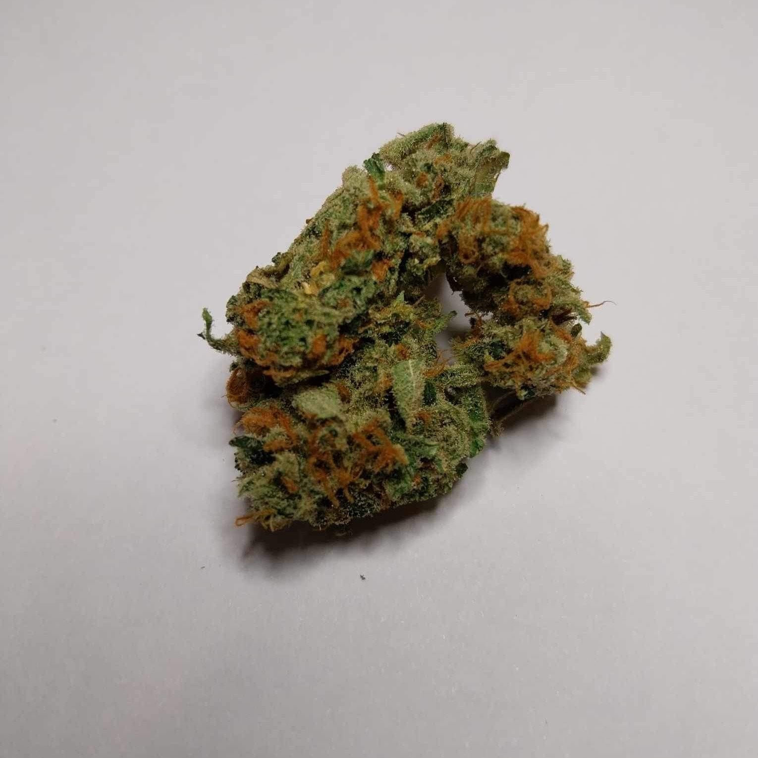 Kush Paradise