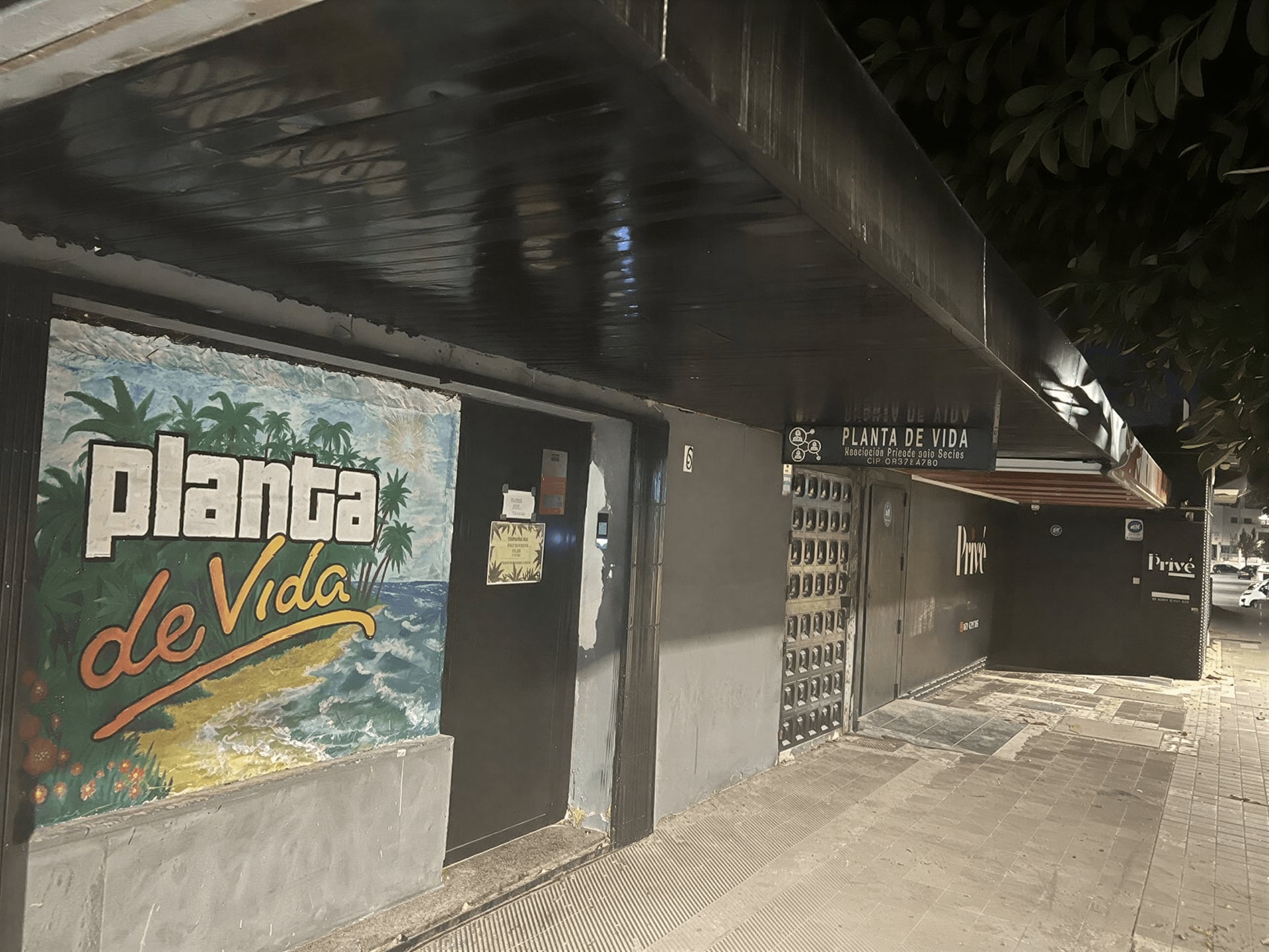 Planta de Vida
