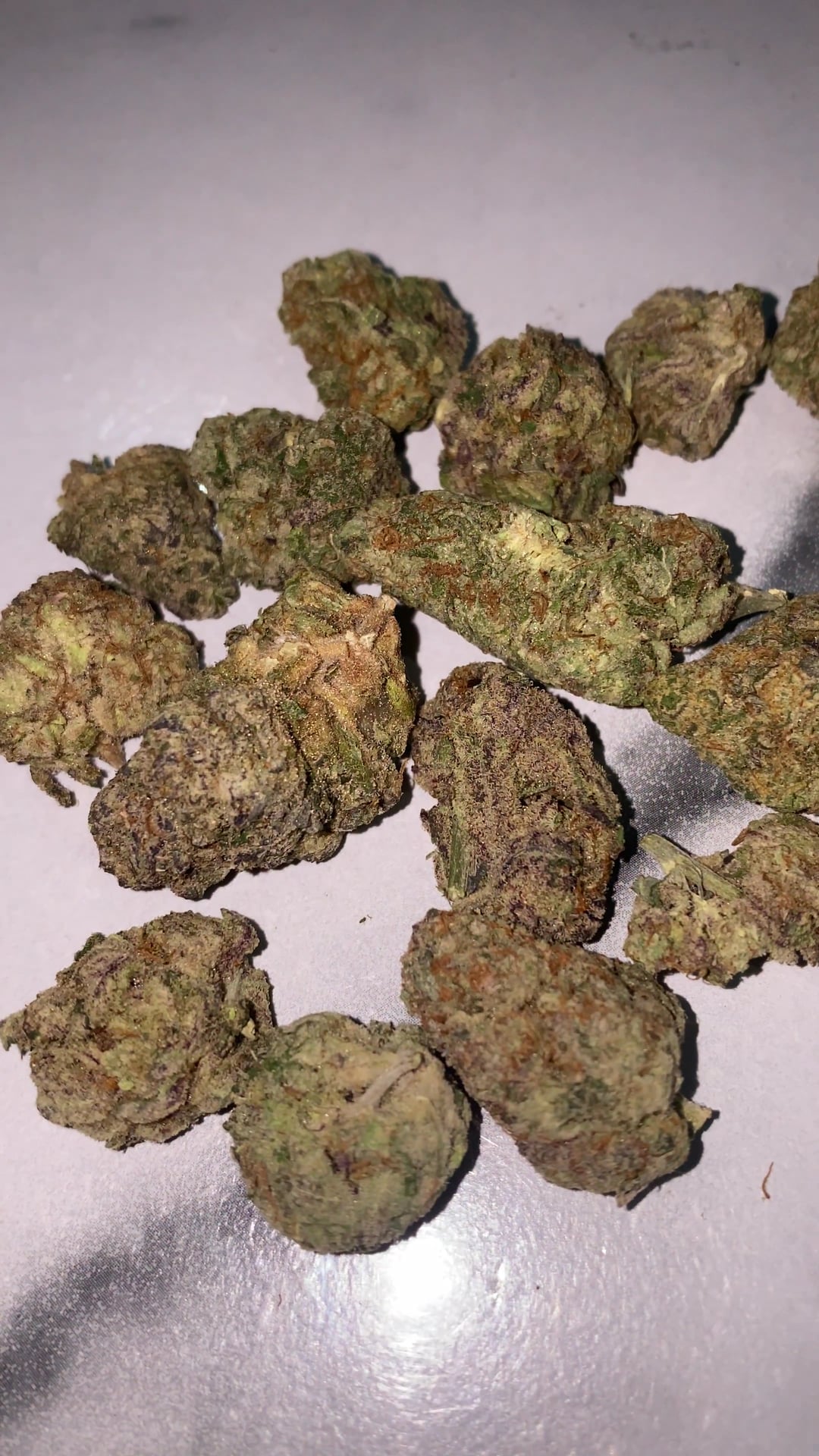 WEED THE OPP High Zone