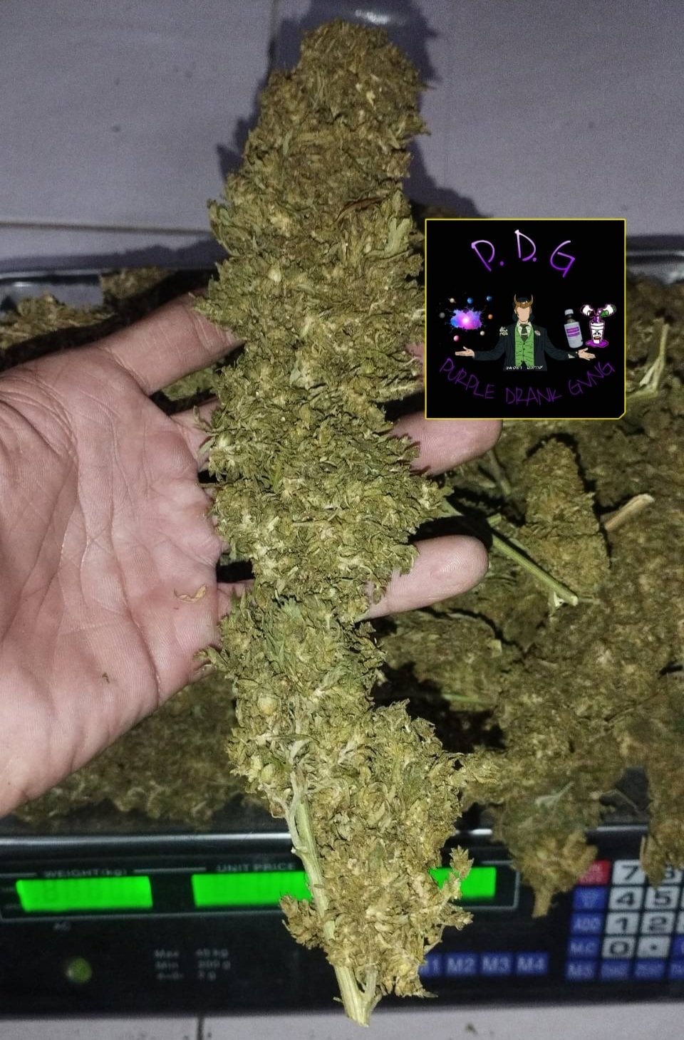 24 . - 44 Smoke Weed