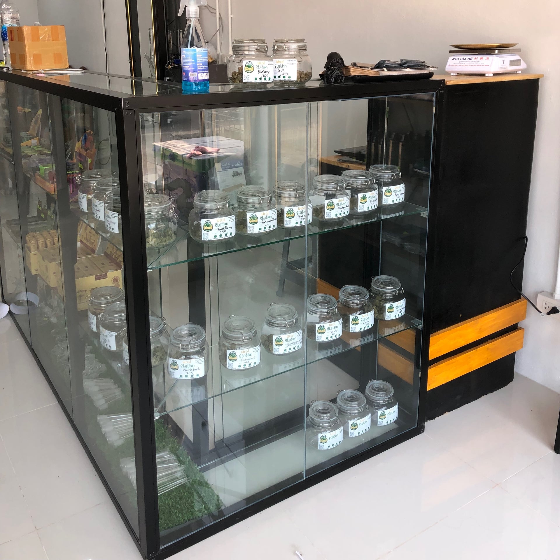 WeedStation_kk