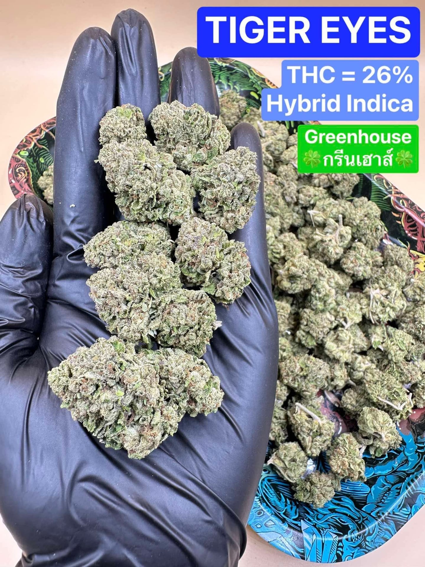Cosmos Cannabis