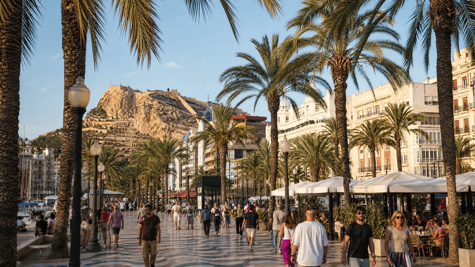 Alicante directory overview with city streets and cannabis social club listings context