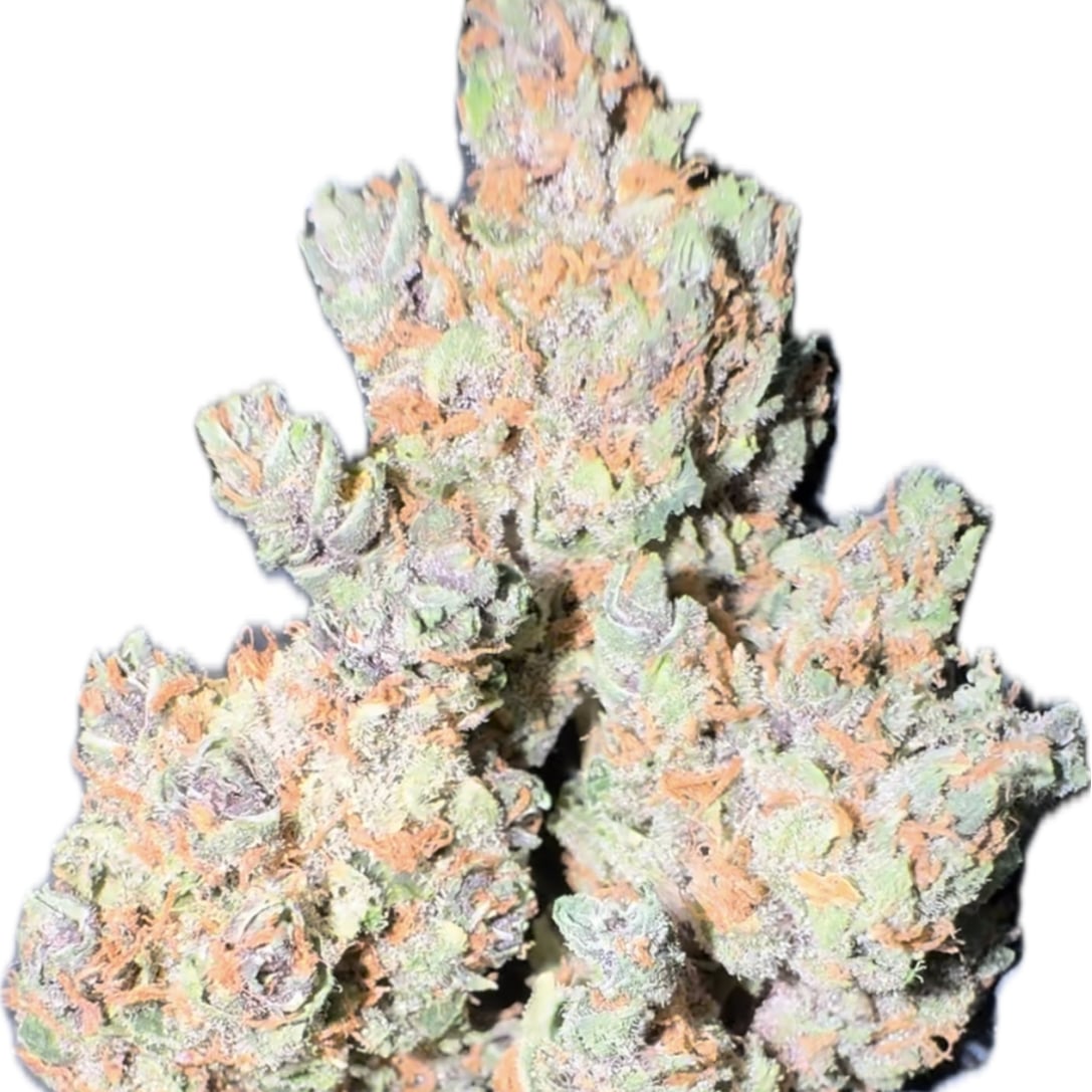 BudBuddies