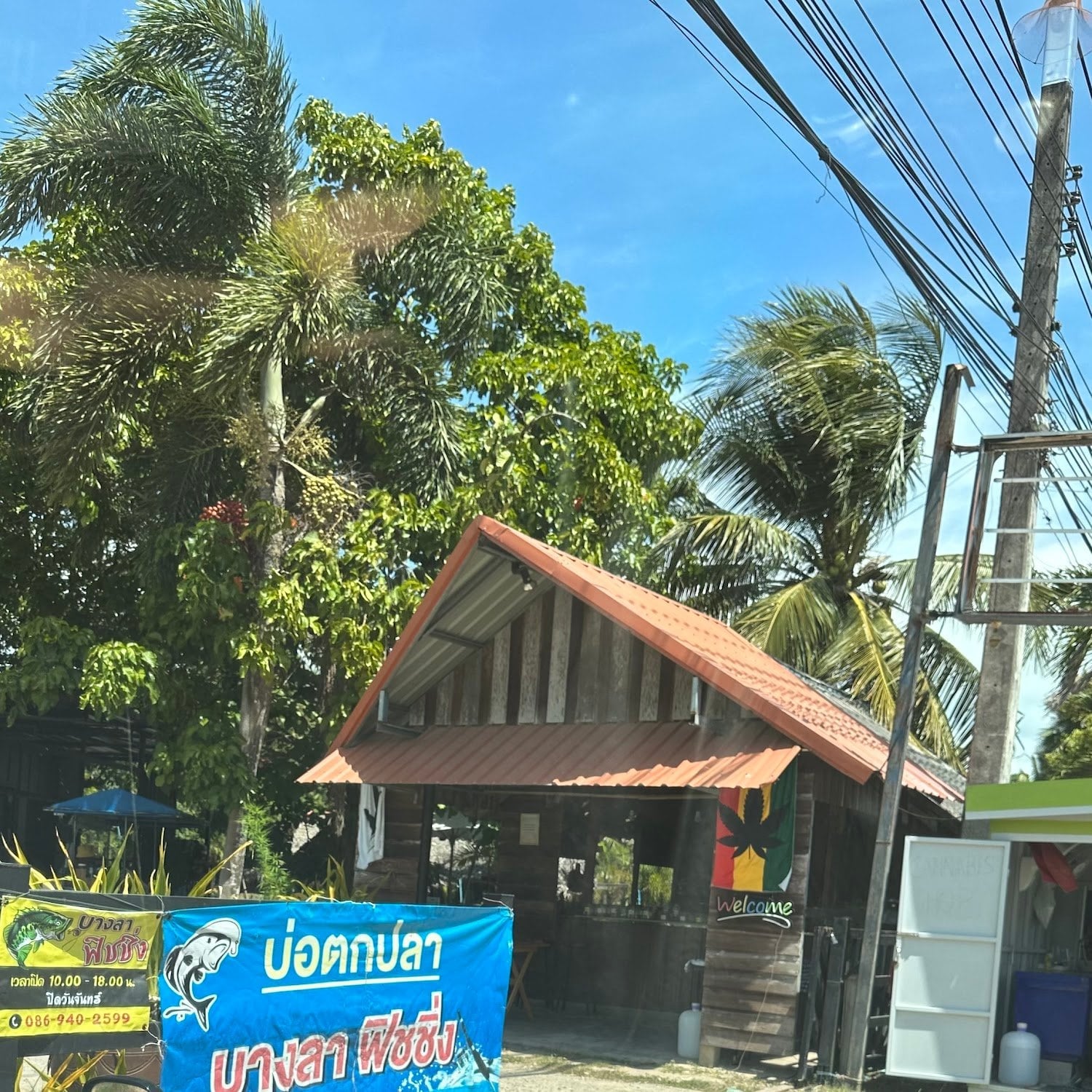 Cannabis Hut Phuket