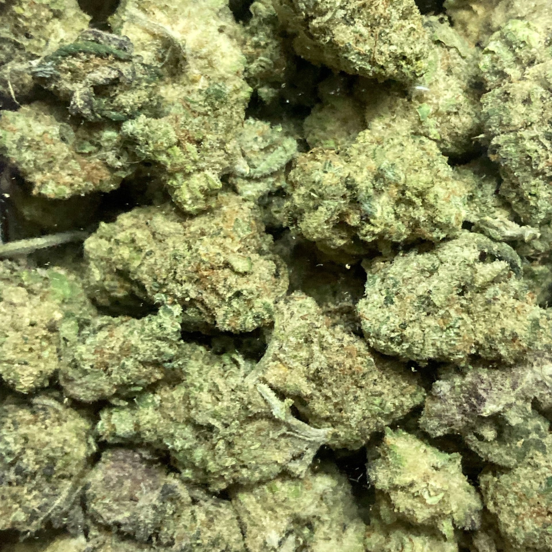 SexyII Cannabis