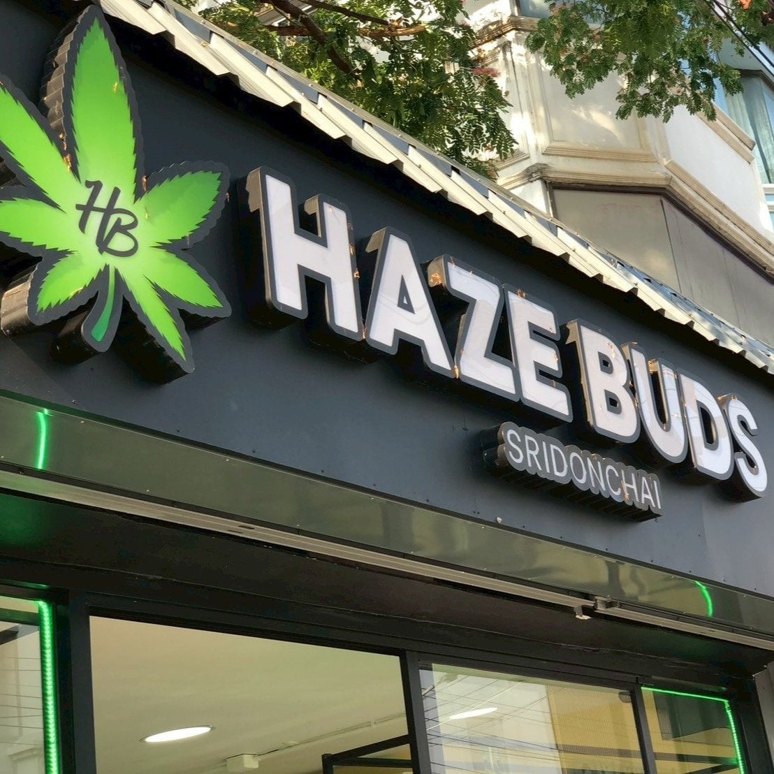 Haze Buds Cannabis Chiang Mai Sridonchai Night Market