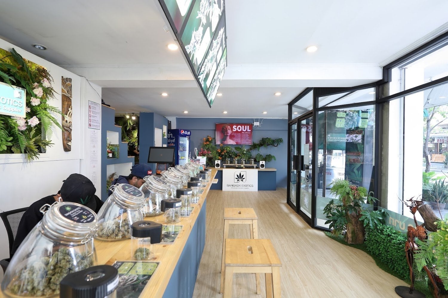 Bangkok Exotics Bang Na