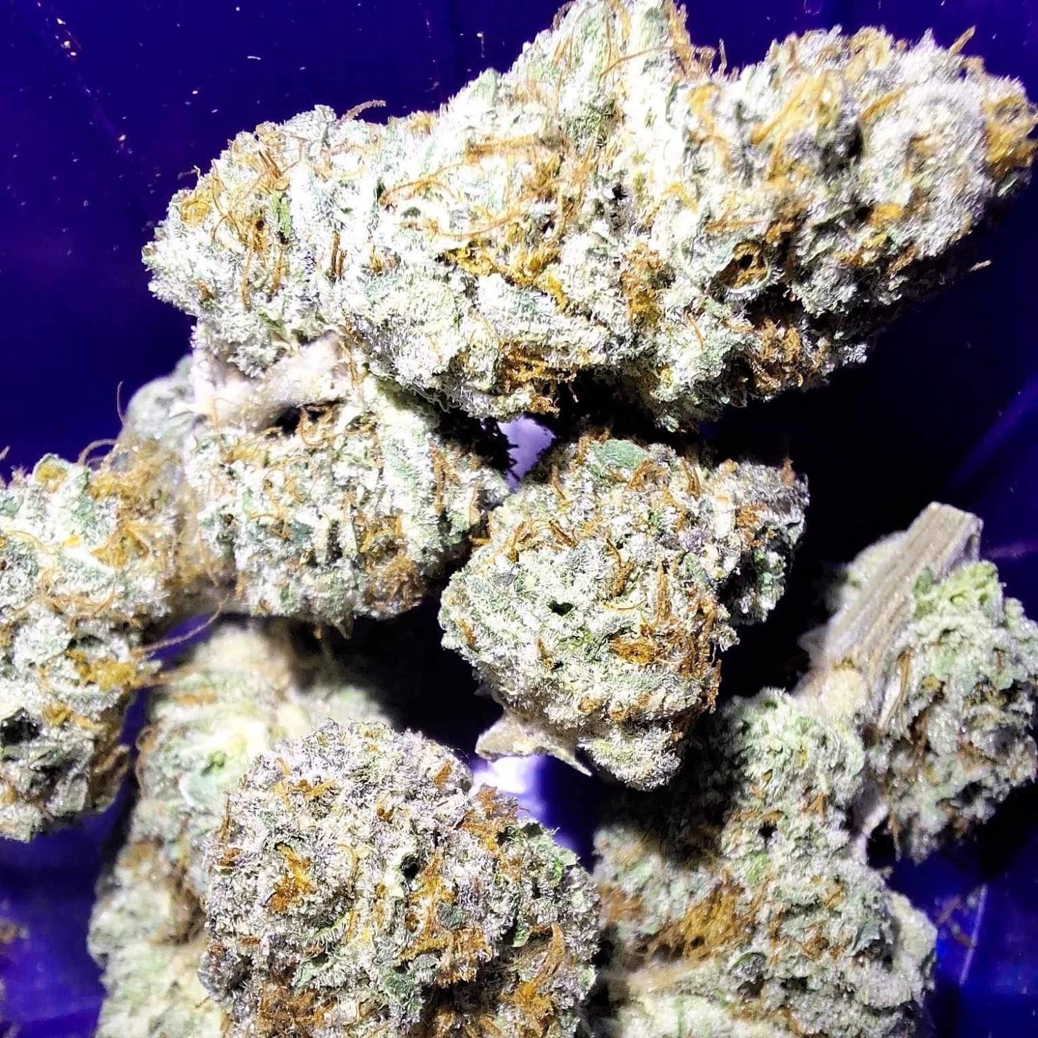 Dynamite