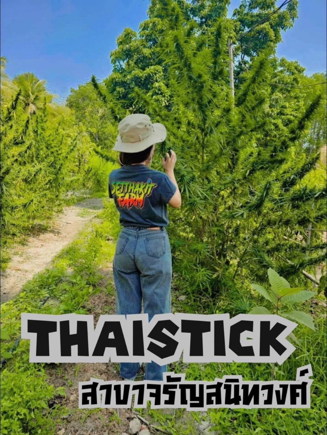 Thaistick BKK