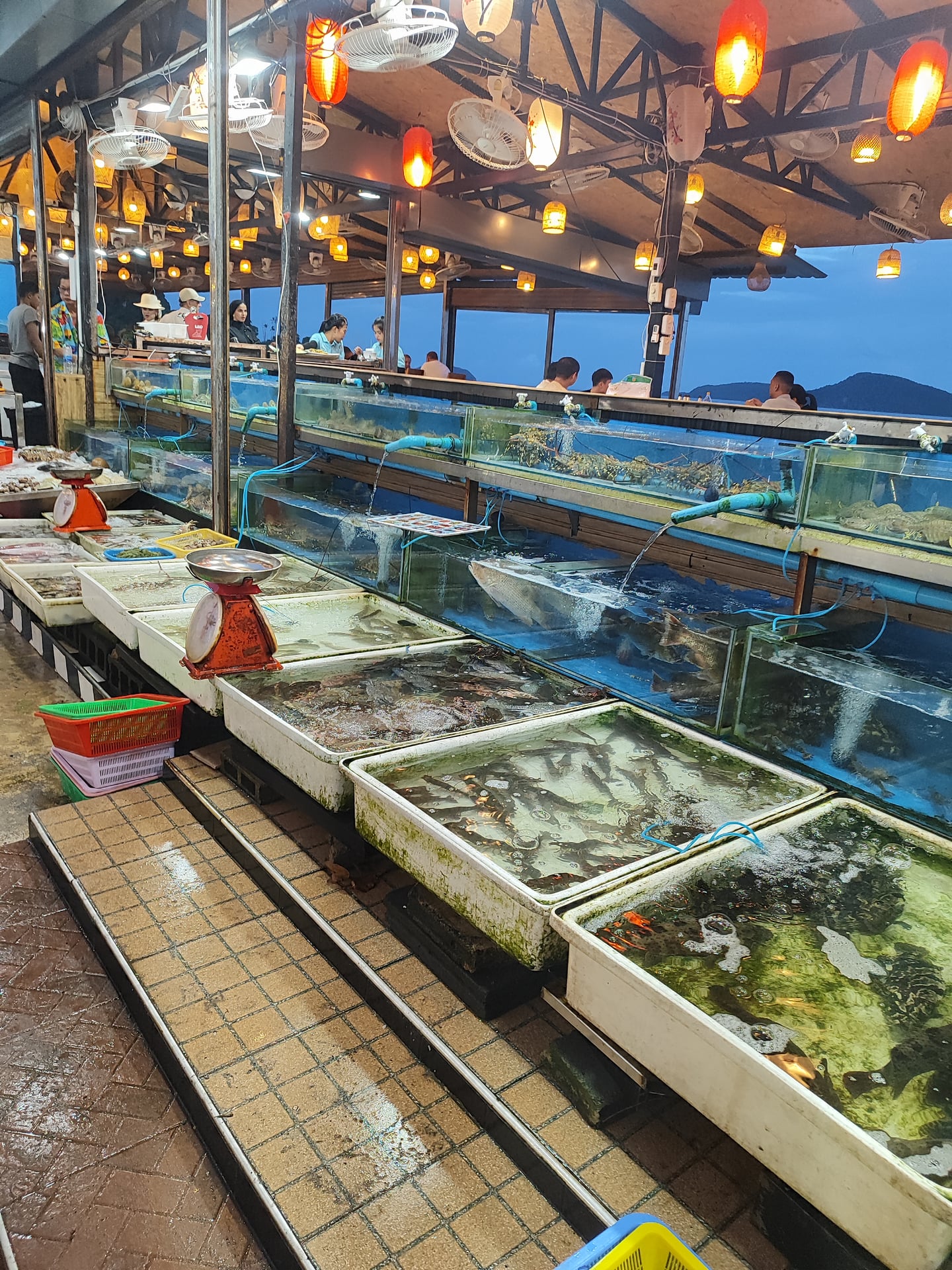 Phuket High - Rawai Seafood Market
