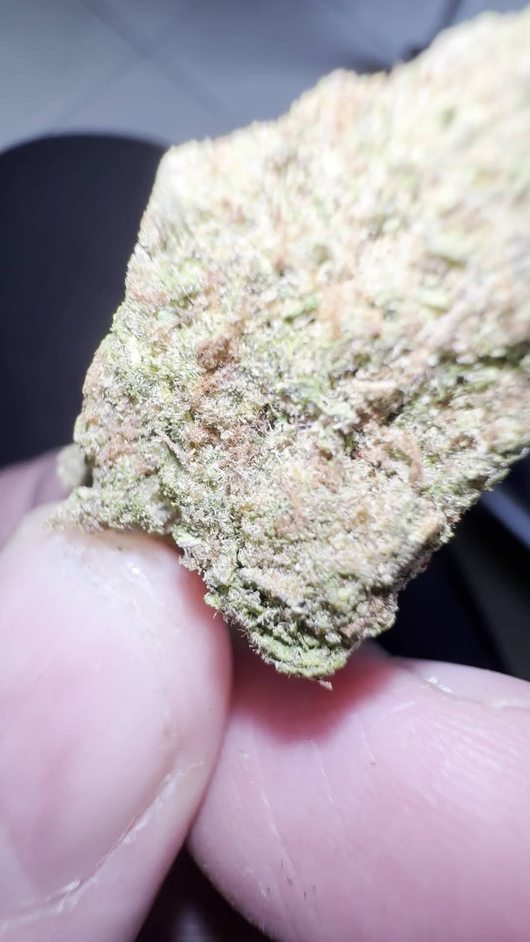 Sloth Cannabis