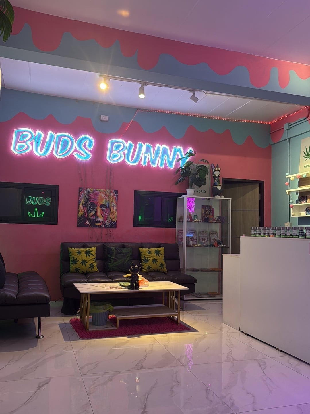 French Cannabis Connection Dispensary Weed & Store Motorbike Kamala