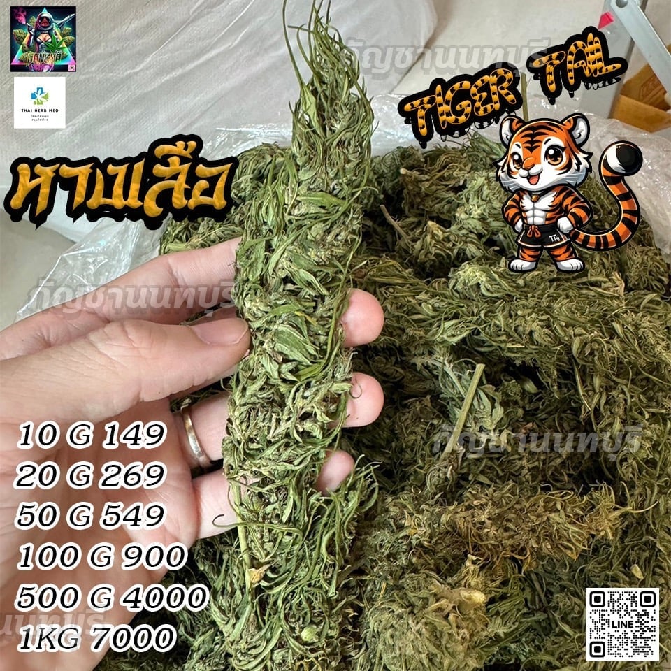 Premium Brick Weed