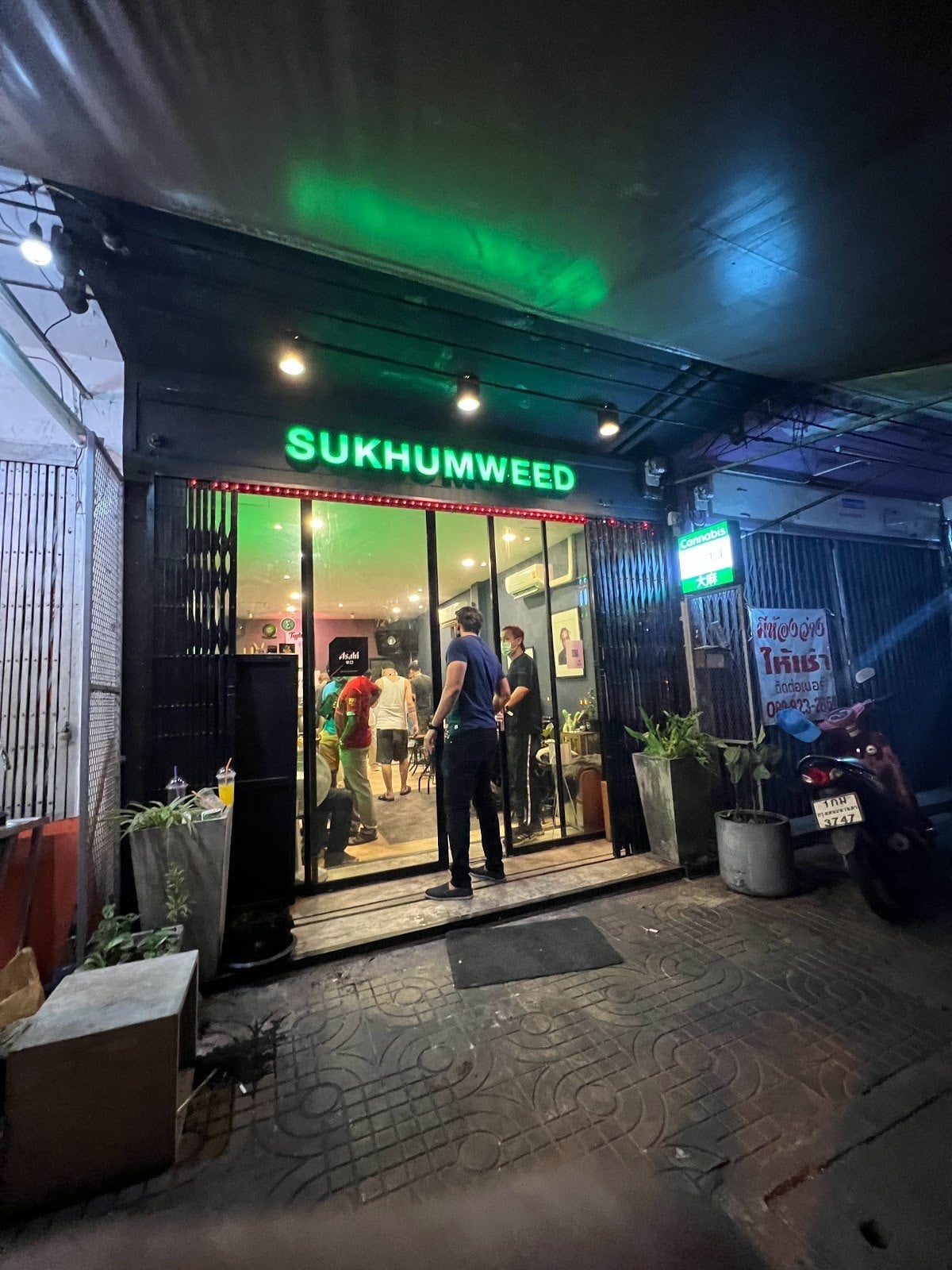 Sukhumweed