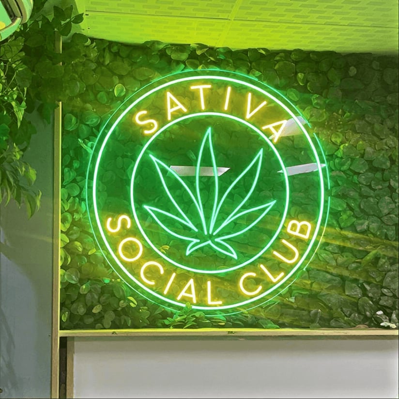Sativa CSC Ibiza