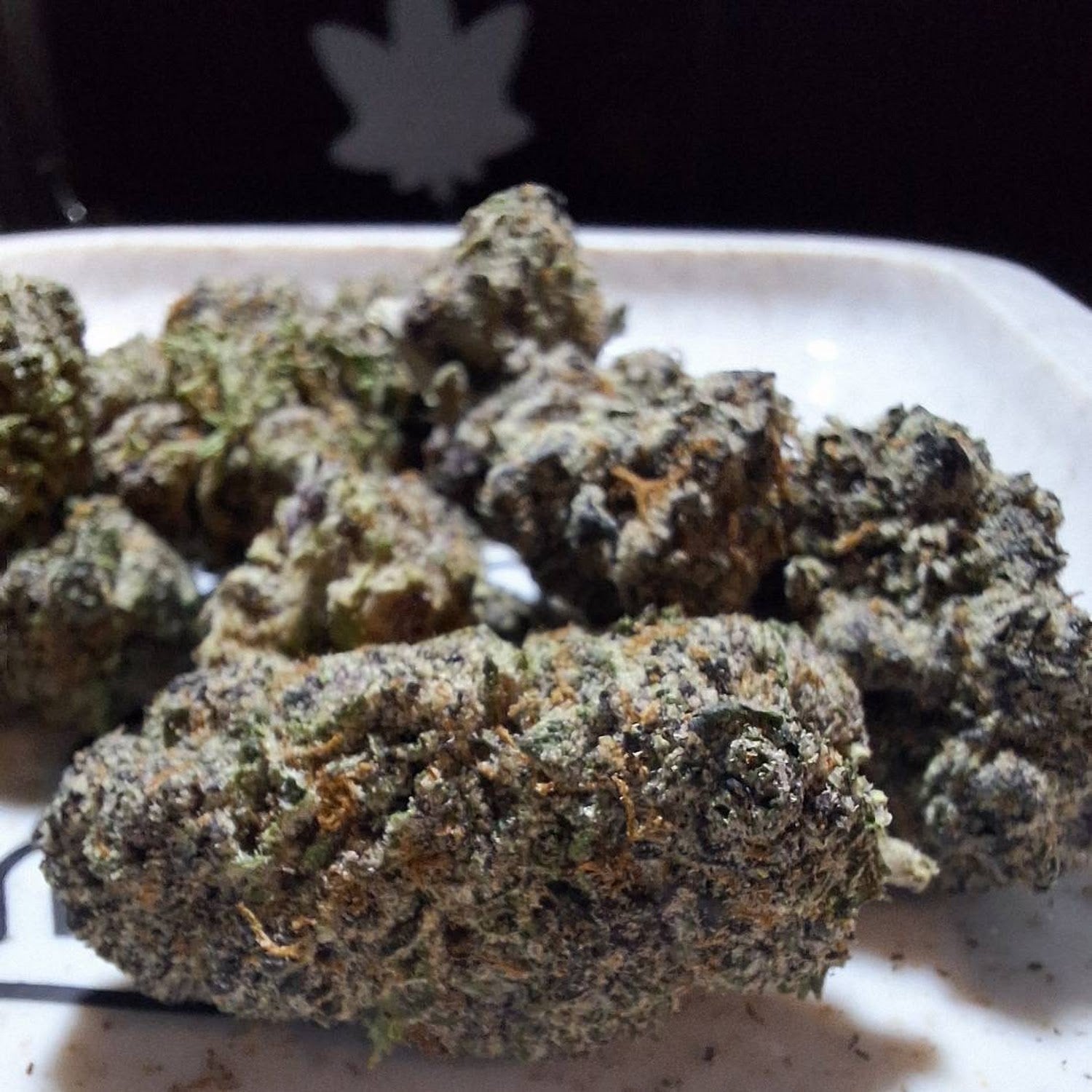 Get Loy420
