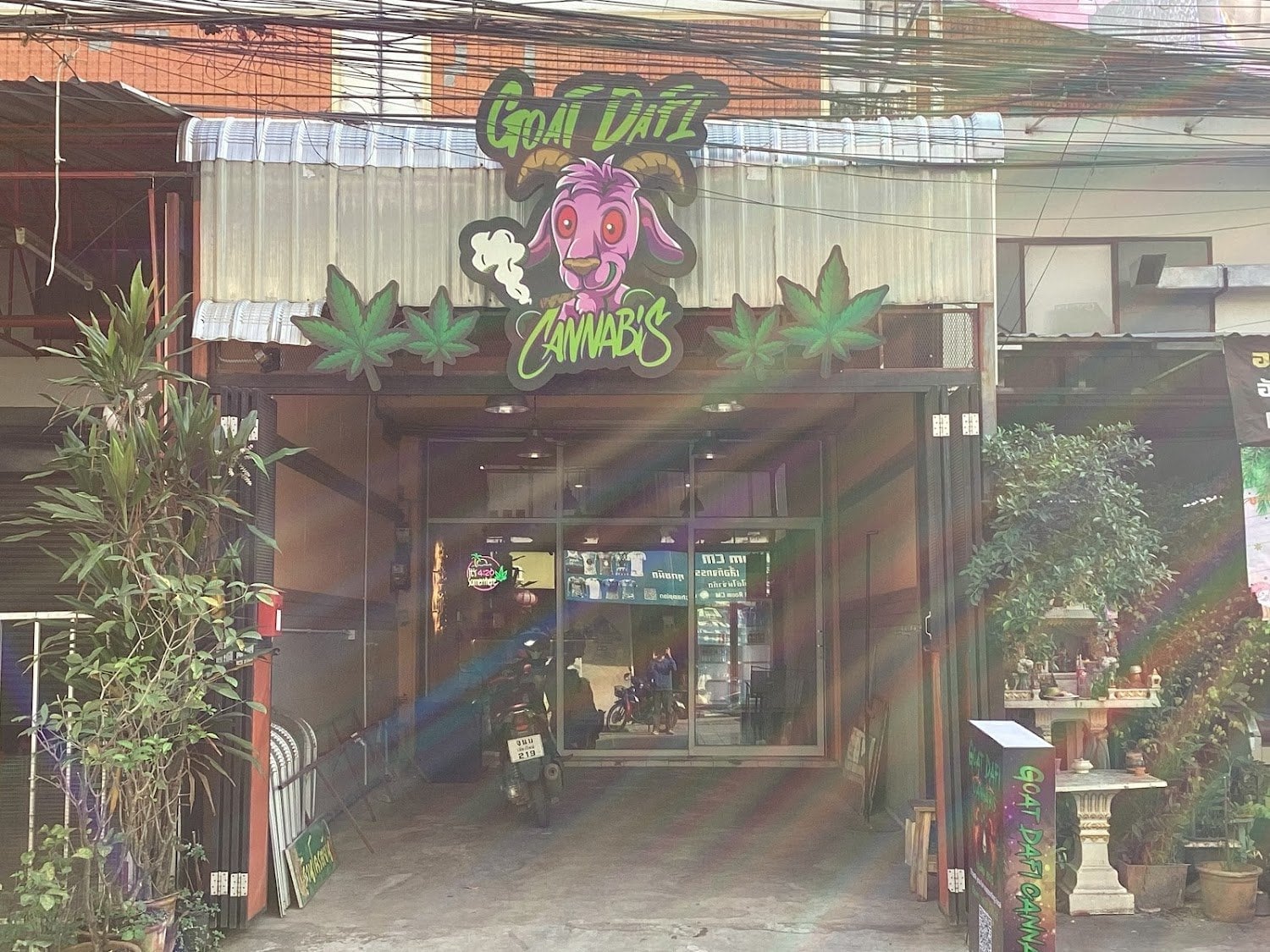 Goatdafi Cannabis