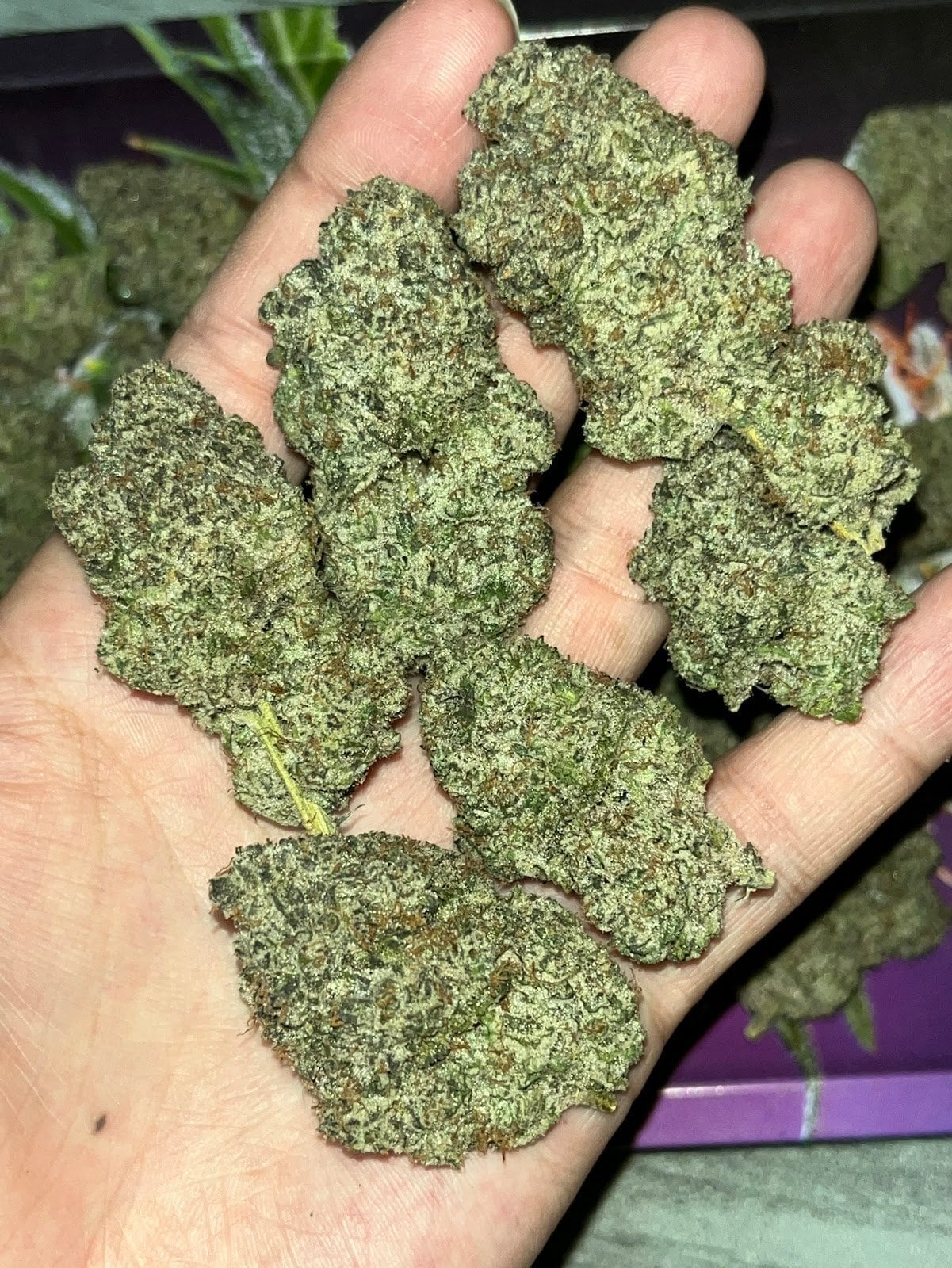 Green Secret